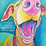 Drifa's Moves & Junk Removal